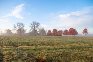 landscape in fall with trees turning color