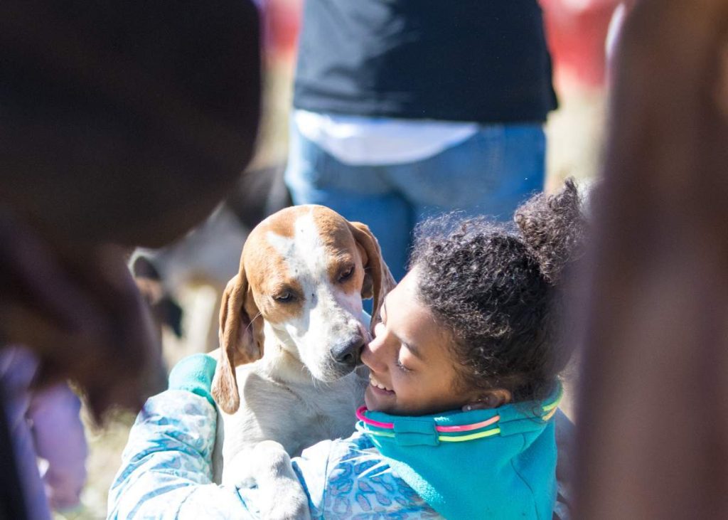 foxhound kissing a young girl hugging him