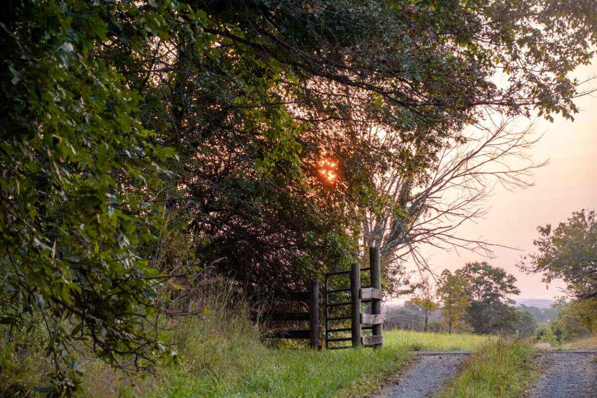 Gate in a fenceline with sunrise behind, on a country road