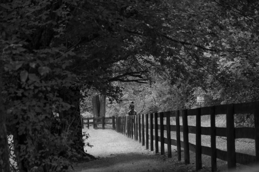 black and white of rider coming up fenceline
