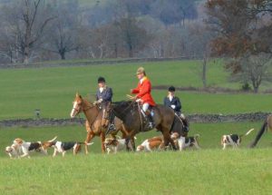 riders in formal hunt attire with hounds, stone wall behind