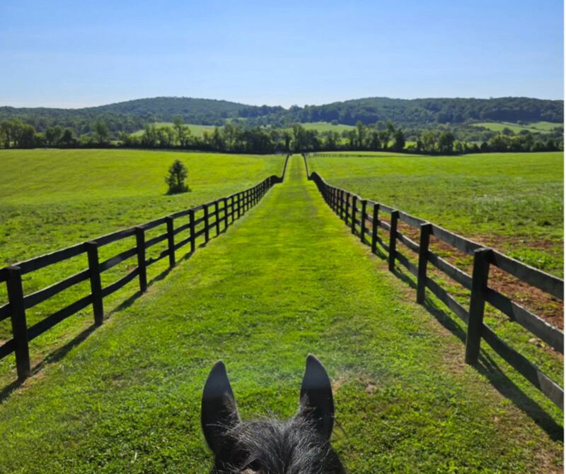 looking over horse ears between fencelines in virginia green grass and pastures
