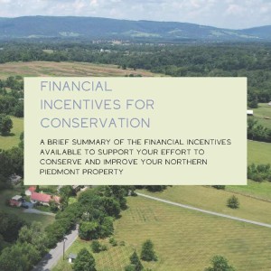 Cover image for Financial Incentives for Conservation