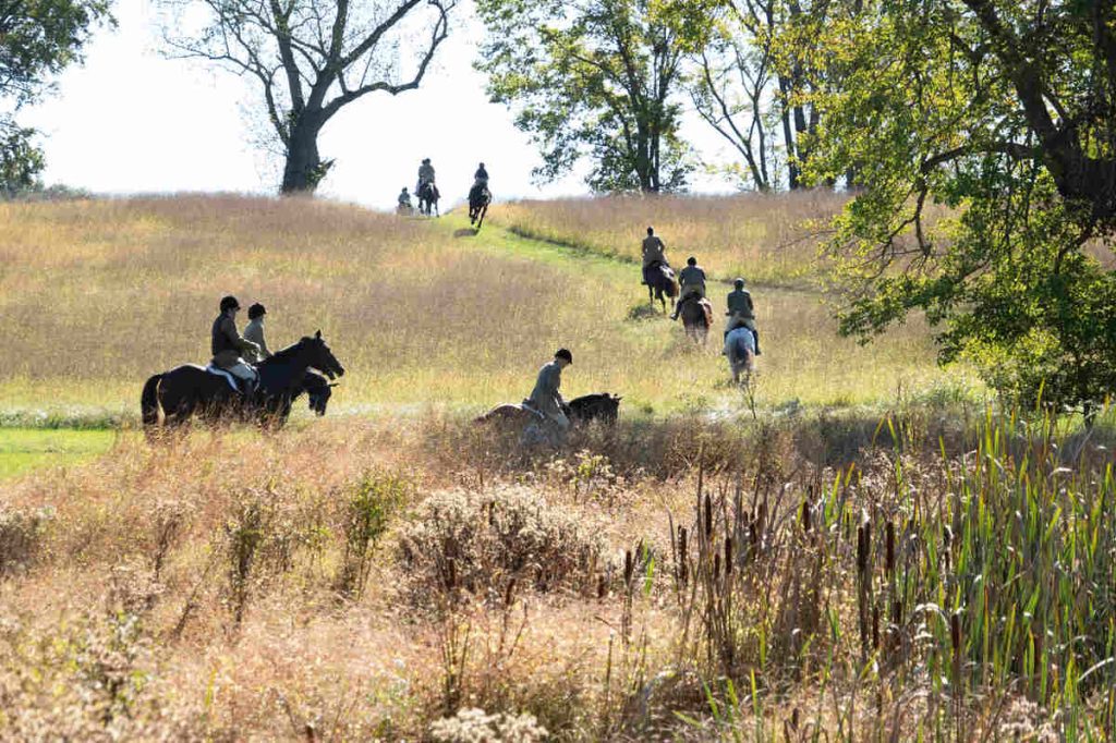 Hunt horses riding through a field