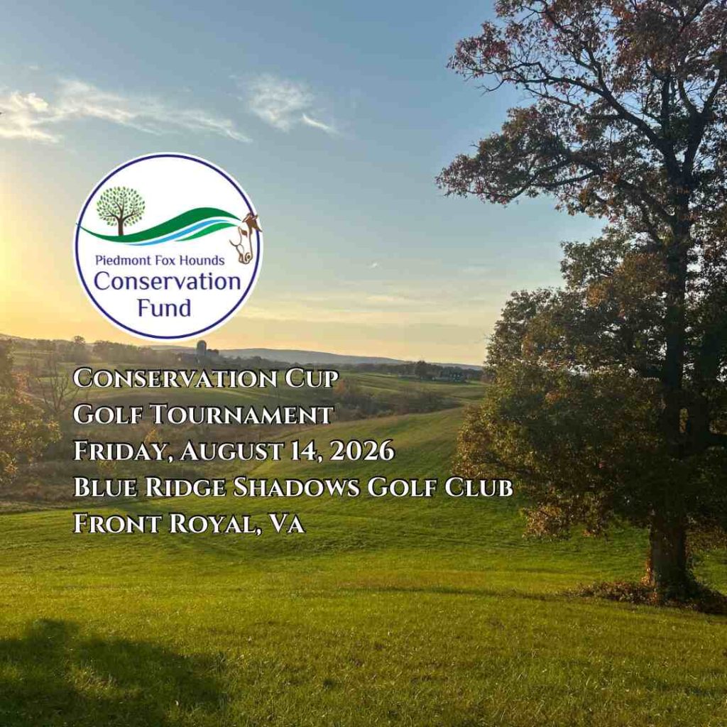 Flyer for Golf Tournament